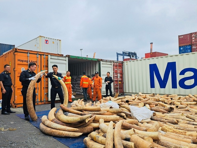 Thanh tra ngành Tài chính kiến nghị xử lý 107.014 tỷ đồng