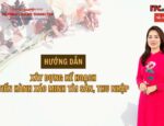 Hướng dẫn xây dựng Kế hoạch tiến hành xác minh tài sản, thu nhập